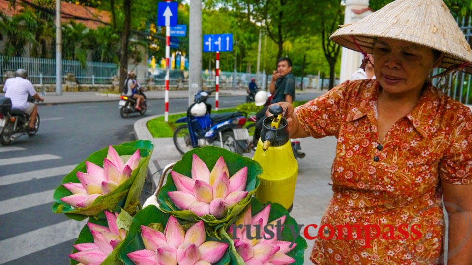 Lotus flower lady, Saigon